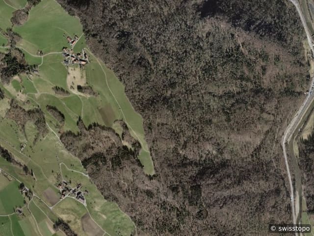 Luftbild Horgen