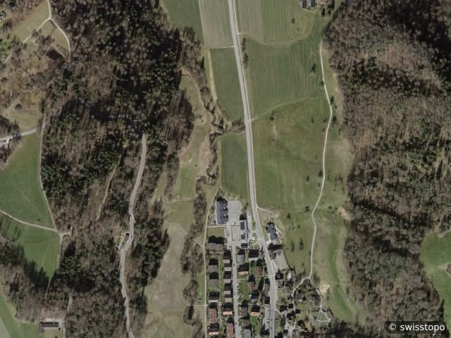 Luftbild Uetliberg