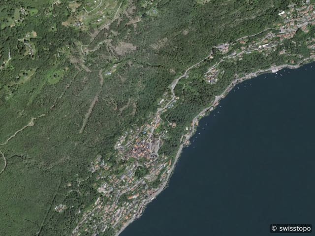 Luftbild Ronco sopra Ascona