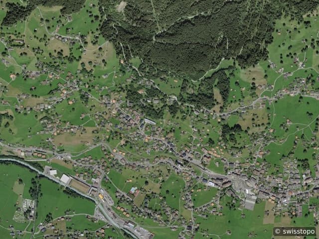 Luftbild Grindelwald