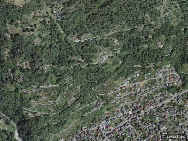 Luftbild Monte Carasso