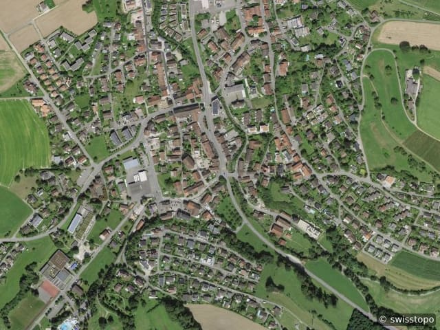 Luftbild Endingen