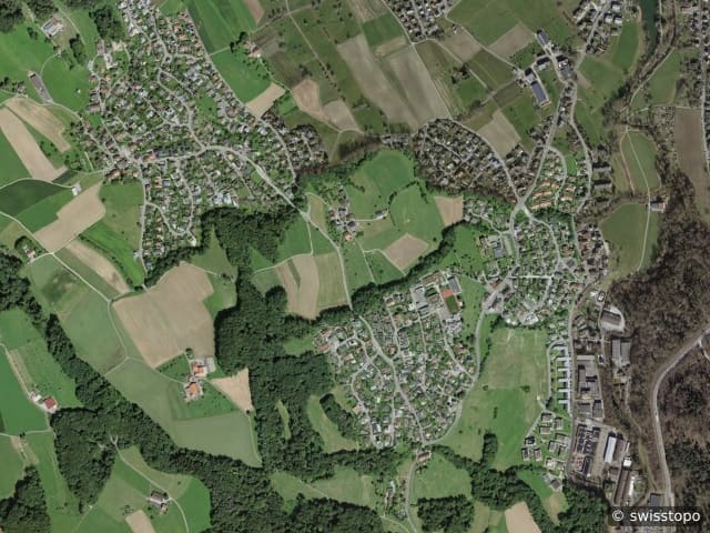 Luftbild Bergdietikon