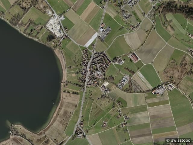 Luftbild Riedikon
