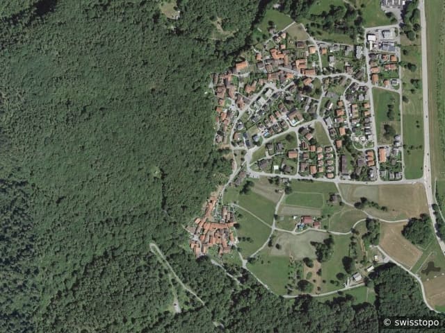 Luftbild Sigirino