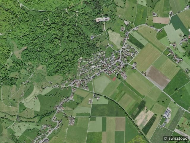 Luftbild Frümsen