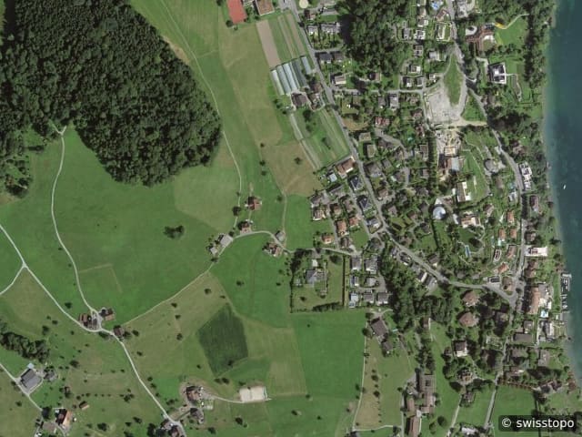Luftbild Kastanienbaum