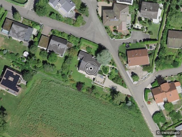 Luftbild Haldenstrasse 9, Widen